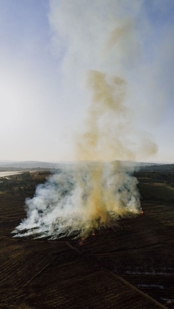 פענוח הלהבות: חקירת שריפות מקצועית ככלי להבנת האמת ומניעת אסונות